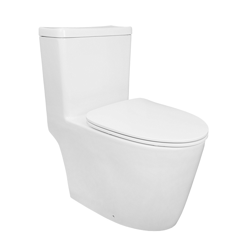 картинка Унитаз One напольный безободковый моноблок в ком-кте с быстросьемным сиденьем микролифт ON0101 Creo 