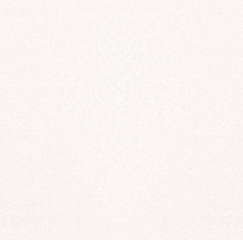 картинка Керамогранит Monocolor Sugar White PG д/пола 45*45см (1.62м2/8шт) Gracia 