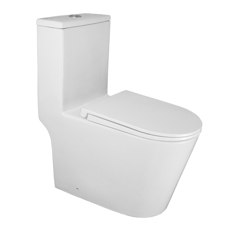 картинка Унитаз-моноблок Scala AZ-8101 безободковый слив с быстросъемным сид. микр. Azario 