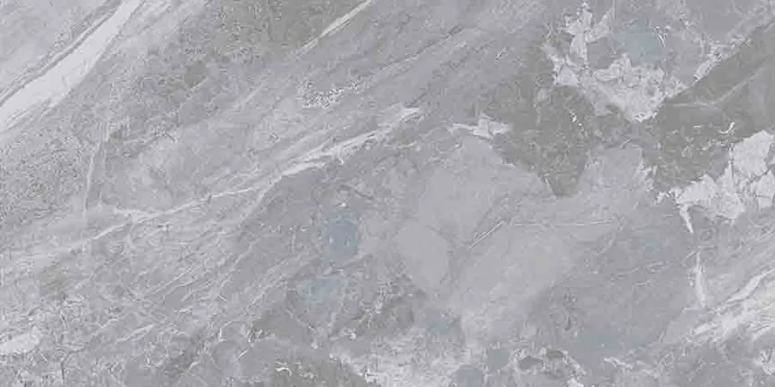 картинка Керамогранит NT Ceramic NTT9115L Cosmic Grey 60*120см (1.44м2/2шт) 