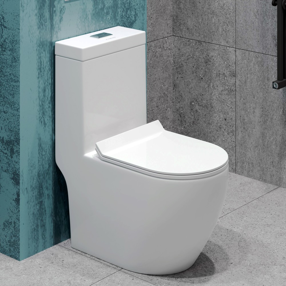 картинка Монолит SM5005,безободковый, сиденье ДП(с гофрой и подводкой) Eva Gold 