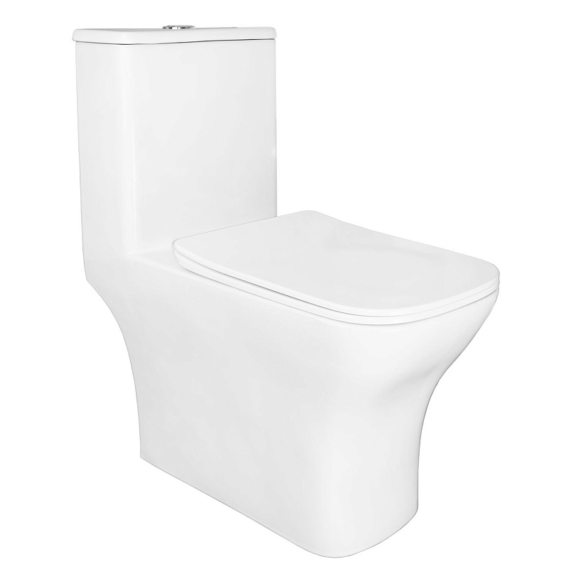 картинка Унитаз моноблок Lodi напольный горизонтальный слив, сиденье дюропласт микролифт AZ-8617 Azario 