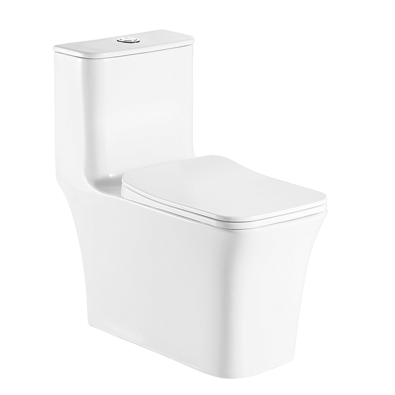 картинка Унитаз-моноблок GRESSA напольный безободковый в комплекте с сиденьем мик-фт AZ-1111MB Azario 