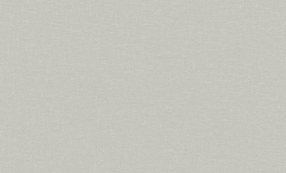 картинка Обои Ateliero Textura 285148 виниловые на флиз. основе горячего тиснения 1.06*10м 