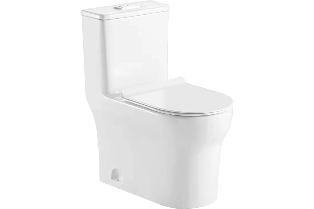 картинка Унитаз-моноблок Sinto AZ-1098 напольный в комплекте с сиденьем дюропласт микролифт, белый Azario 