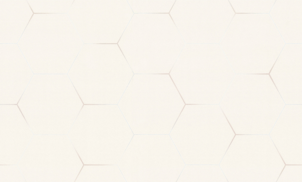 картинка Обои TrendColor TC72088-21 