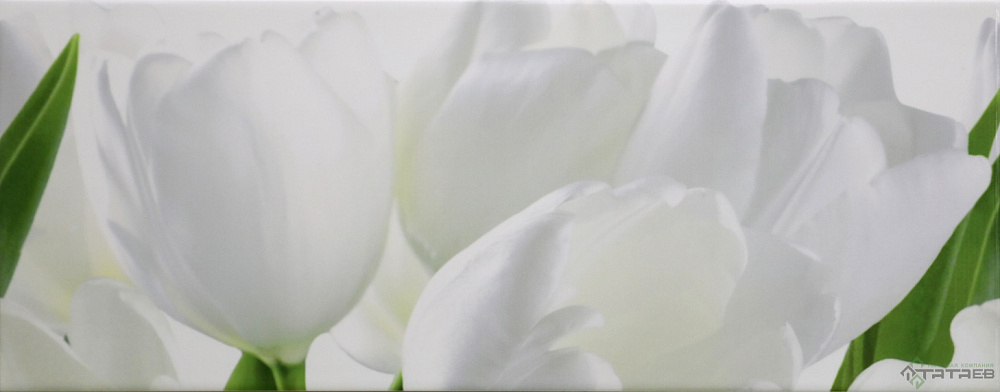 картинка Декор керамический Tulip 1W 20*50см (1.7м2/17шт) 
