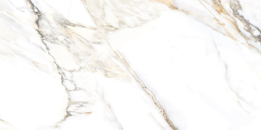 картинка Образец керамогранита с наклейкой Trendy SSGFU60120TRD04R 60*120 