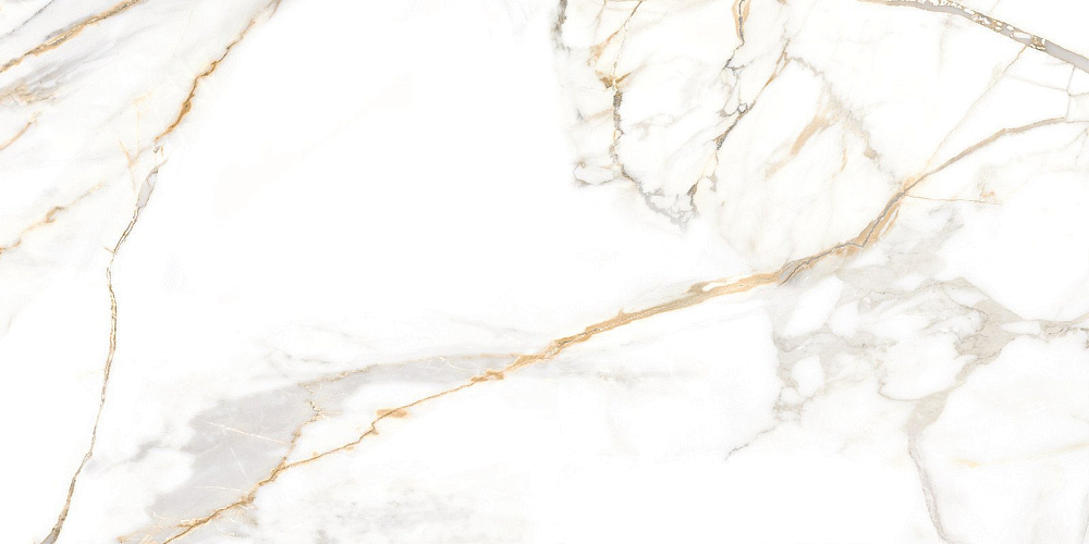 картинка Образец керамогранита с наклейкой Trendy SSGFU60120TRD04R 60*120 