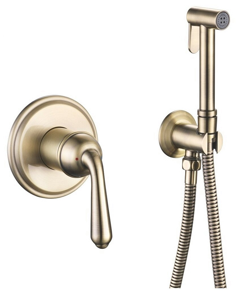 картинка Гигиенический душ R0205Q Rose 