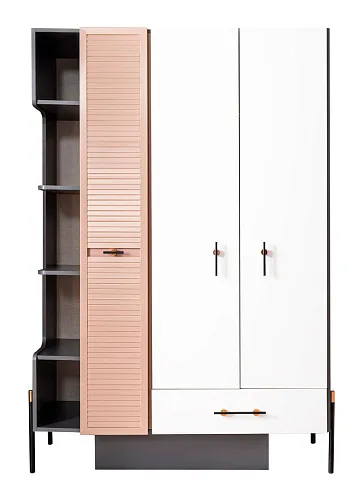 картинка Шкаф Avsa young 3 doors Wardrobe Weltew  являющийся официальным дистрибьютором в России 