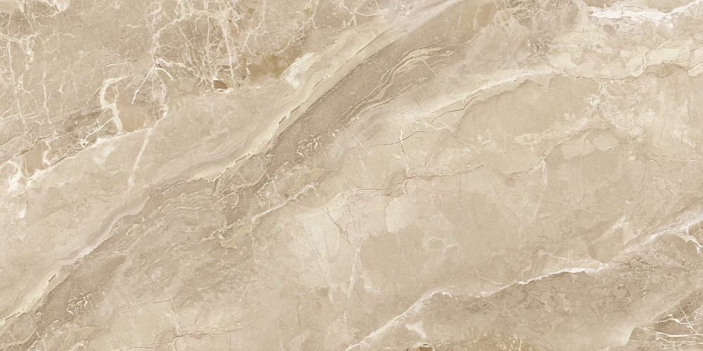 картинка Панель Frapucino Chocolate 60120FRP21 60*120 (ТМ Delacora) ОБРАЗЕЦ!!! 