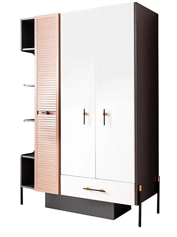 картинка Шкаф Avsa young 3 doors Wardrobe Weltew  являющийся официальным дистрибьютором в России 