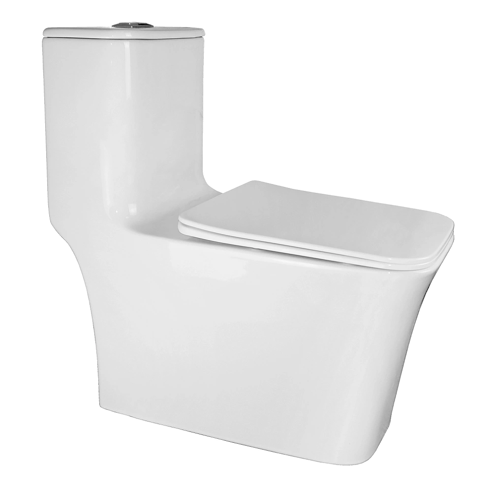 картинка Унитаз-моноблок Stoun напольный безободковый в комплекте с сиденьем мик-фт белый AZ-1109 Azario 