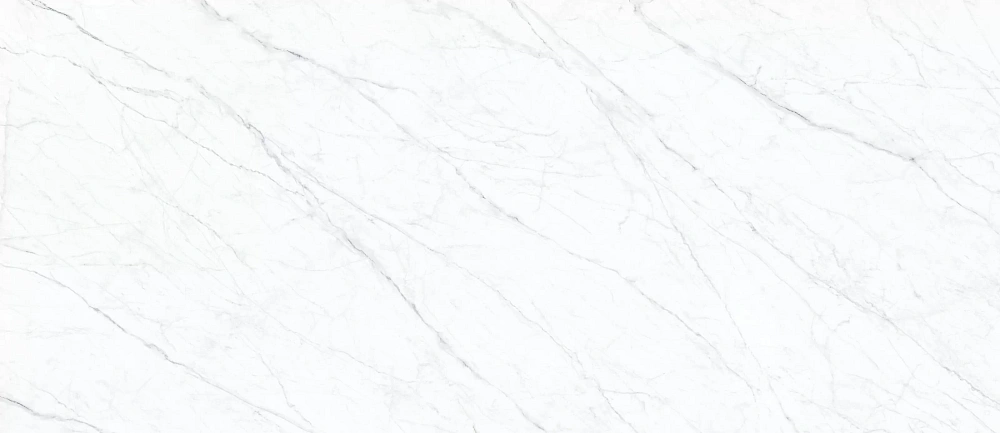 картинка ОБРАЗЕЦ Керамогранит Carrara Twig 120*278*6 