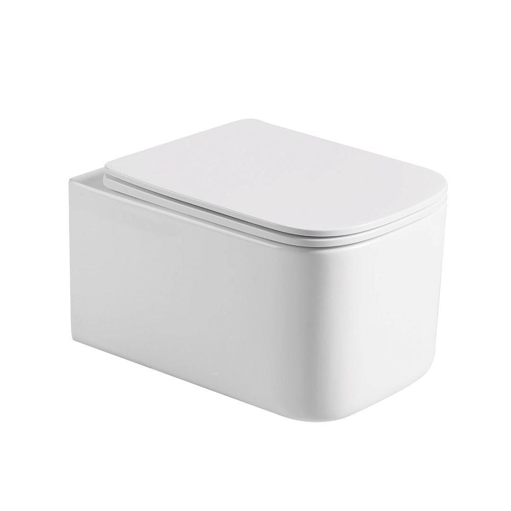 картинка Унитаз подвесной Mane белый глянец с крышкой 970-SET-W Boheme 