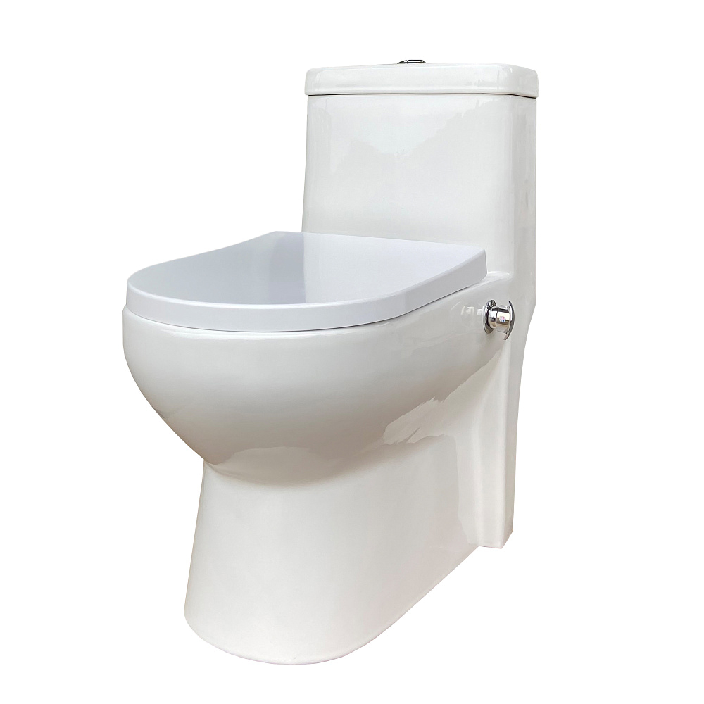 картинка Монолит T1016B со встроенным биде сидение ДП Eva Gold 