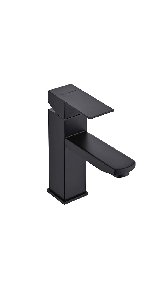 картинка Смеситель для раковины FW01B-PVD нержавейка черный Eva Gold 