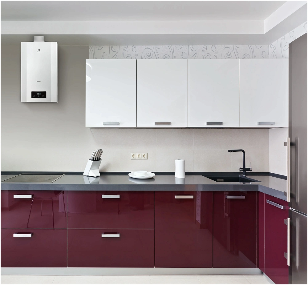 картинка Колонка Electroiux GWH 11 Prolnverter 