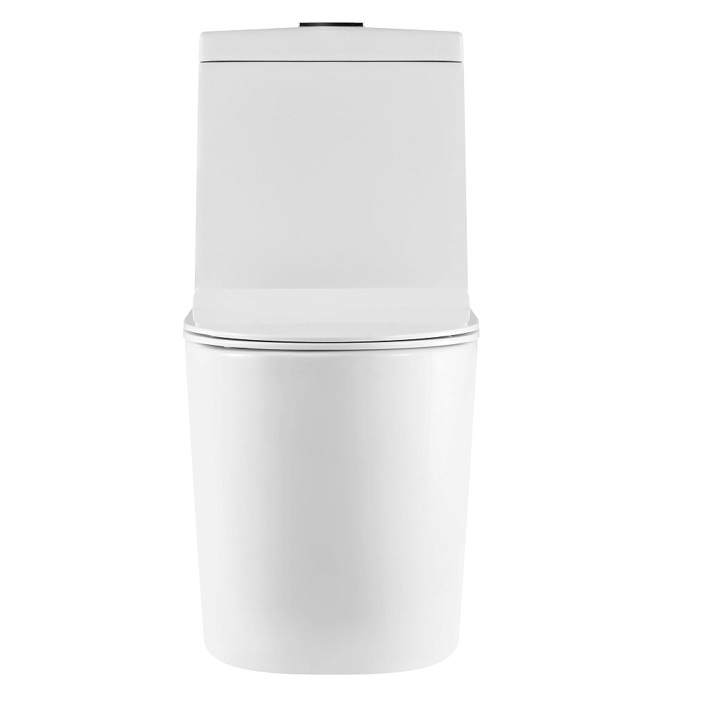 картинка Унитаз-моноблок Twin с крышкой Soft-close Sole 