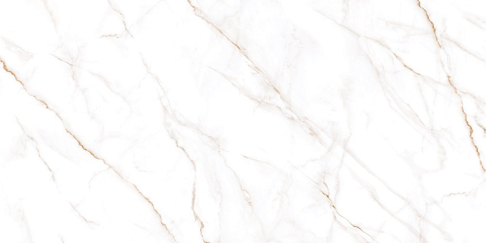 картинка Образец керамогранита с наклейкой Neo Calacatta SSGFU60120NCL04R 60*120 