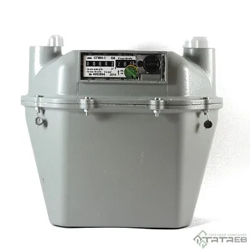 картинка Счетчик газовый СГМН-1-G-6  являющийся официальным дистрибьютором в России 