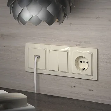 картинка Розетка с заземлением слоновая кость Werkel W1171003 051490  являющийся официальным дистрибьютором в России 