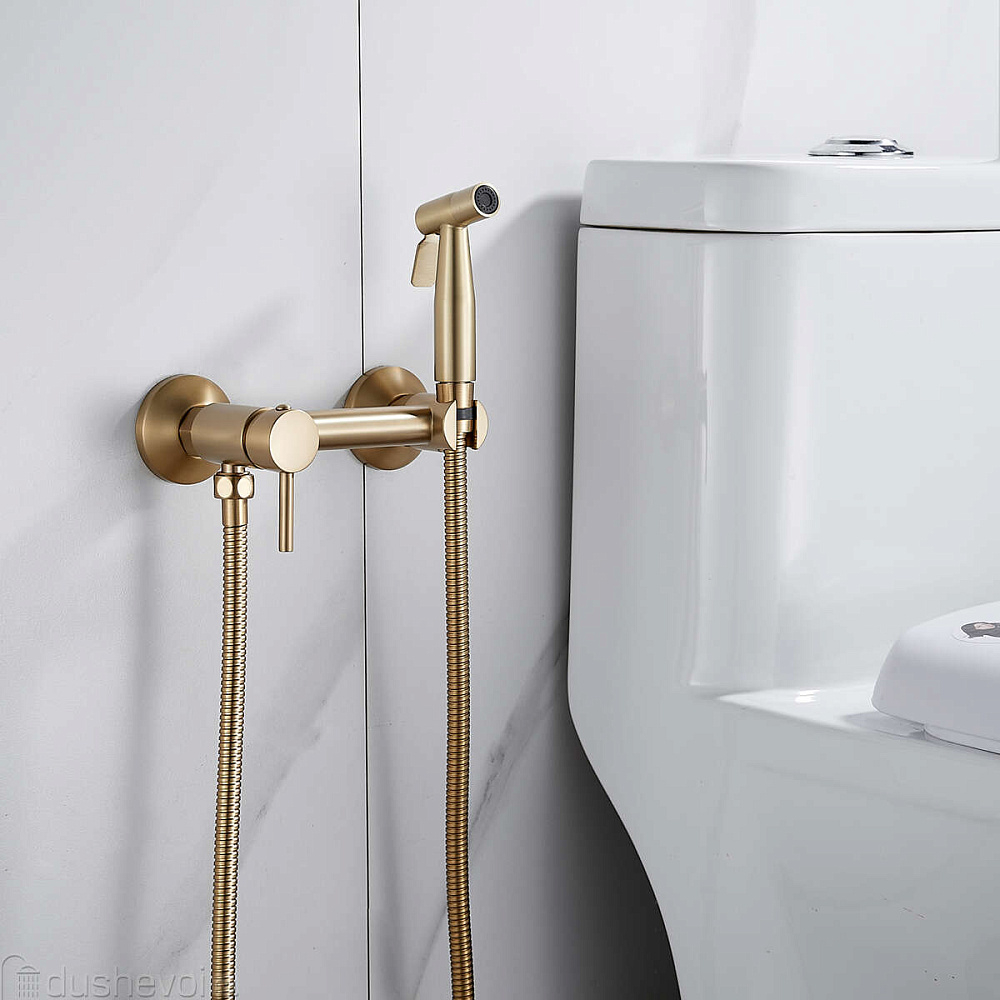 картинка Гигиенический душ S107G Shevanik 